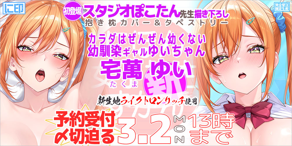 にほん女子校生ずかん 抱き枕カバー & B2タペストリー