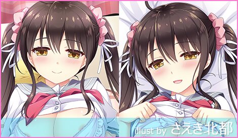 にほん女子校生ずかん No.29 【天宮 ちはる】 抱き枕カバー